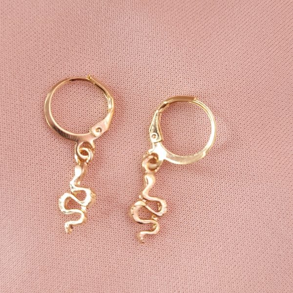 Aretes varios - Imagen 9
